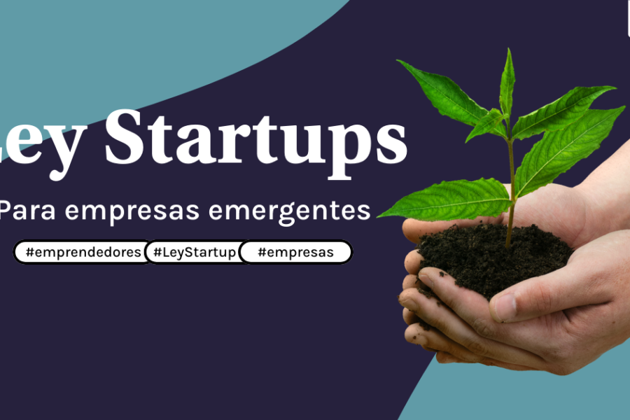 ley startup